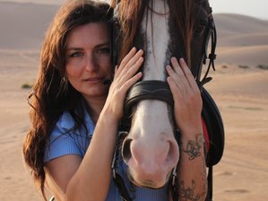 1 Day Non-Residential Horse Riding Journey Between Golden Dunes and the Atlantic Coast, Morocco