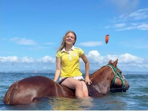 2 Day Ocean Horseback Riding Holiday in Miura, Kanagawa