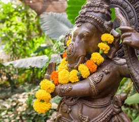 12 Tage Yoga und Entspannungsreise in Indien - Photo 3