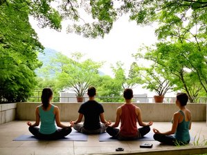 4 jours en retraite de yoga des cinq éléments en forêt à Hakone, Japon