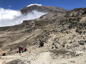 8 Day Beyond the Horizon: A Yoga and Hiking Tour on the Marangu Route in Mt. Kilimanjaro, Tanzania