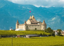 Aigle Retreats und Reisen