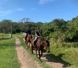 15 Tage Budget-Reiturlaub mit Tom und Tori Horse and Heart Adventures in Südafrika - Photo 3