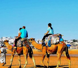 7 Day Thrilling Surf Camp in Sidi Kaouki, Essaouira, Morocco - Photo 3