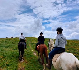 98 jours territoire du loup et des chevaux sauvages du Gerês : vacances équestres à Castro Laboreiro, Portugal - Photo 1
