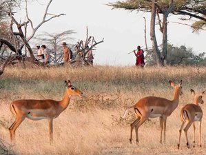 6 Day Great Safari in Southern Tanzania to Nyerere, Mikumi, and Udzungwa Mountain National Parks