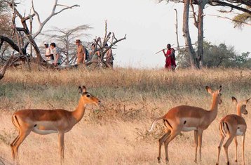 6-Daagse Geweldige Safari in Zuid-Tanzania naar Nyerere-, Mikumi- en Udzungwa Mountain National Parken