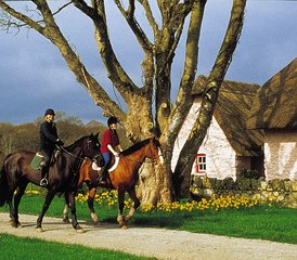 7 Day Horse Riding Holiday in Adare, Munster: Ireland’s Training and Trail Ride - Photo 3
