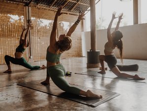 6 Day All Level Yoga and Surf Camp in Kabalana, Ahangama