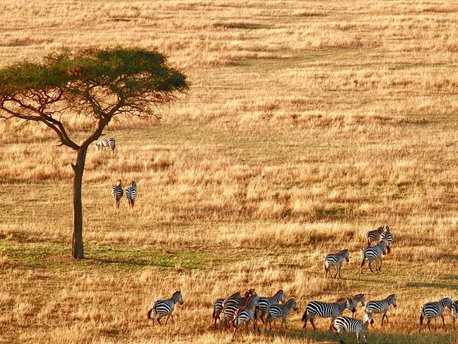 Norte de Tanzania