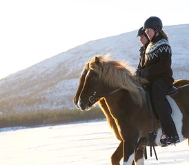 27 Tage Winter Pferdereiturlaub in Kiruna, Schweden - Photo 1