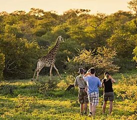 16-Daagse Kaapstad Tot Krugerpark En Lesotho, Een Safari Om De Verborgen Geheimen Van Zuid-Afrika Te Ontdekken - Photo 3