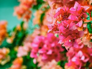 7 Day Radiant Glow Yoga Retreat in Paros, Greece