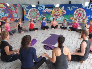 8 Day 50-Hour Yin and Meridians Yoga Teacher Training in Villamartín, Spain