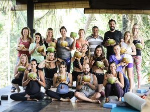 24 Day 200-Hour Vinyasa Yin Yoga Teacher Training in Ubud, Bali at a Luxurious Retreat Center