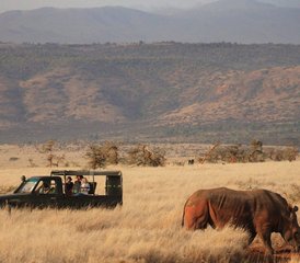 87 días de safari privado emocionante en Kenia - Photo 1