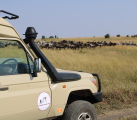 29 días de safari en Tanzania con la gran migración del Serengeti y cruces de río - Photo 1