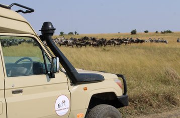 9 Tage Tansania Safari mit Serengeti Große Migration und Flussüberquerungen