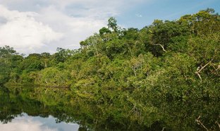Amazonia Retiros y Viajes