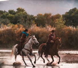 7 Day Rescue Horse Ranch Vacation in New Mexico, USA: Ride with Purpose - Photo 3
