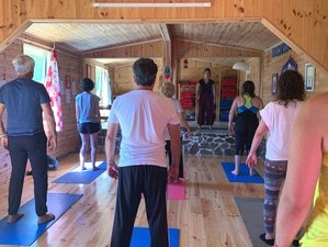 7 Day Revitalize and Rejuvenate Detox Retreat with Yoga and Qi Gong in Ericeira