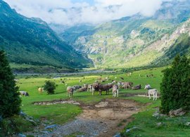 Huesca Retreats und Reisen