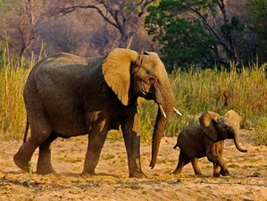 3 Day Tarangire National Park Wildlife Safari in Tanzania