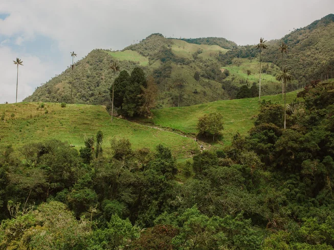 6 Day Guided Motorcycle Tour of The Coffee Region and Valle Del Cocora in Colombia photo 10