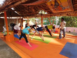 28 Tage 200-Stunden Hatha und Vinyasa Yogalehrer Ausbildung mit 4 Ayurvedischen Kochklassen in Kerala