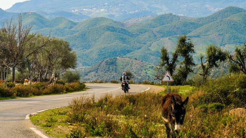 8 Day Atlas Adventures Guided Off-Road Motorcycle Tour in Morocco