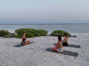 8 Tage Yoga-Retreat mit täglichem Schnorcheln in Thimarafushi, Malediven