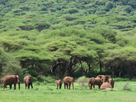Macizo del Ngorongoro