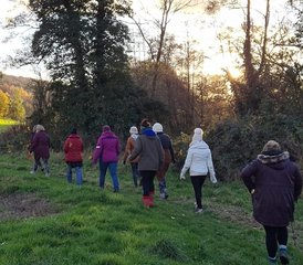 4 Day Autumn Ayurveda Rejuvenation Retreat in Church Stretton, Shropshire, UK - Photo 4
