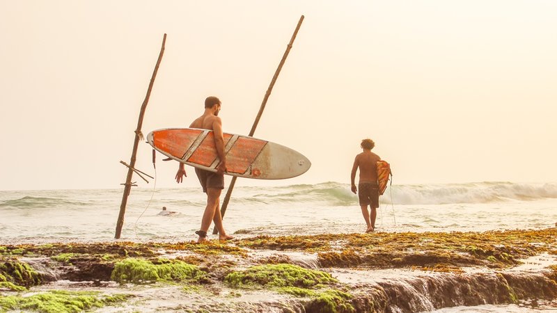8 Day Beginner and Intermediate Yoga Retreat and Surf Camp in Ahangama, Southern Province