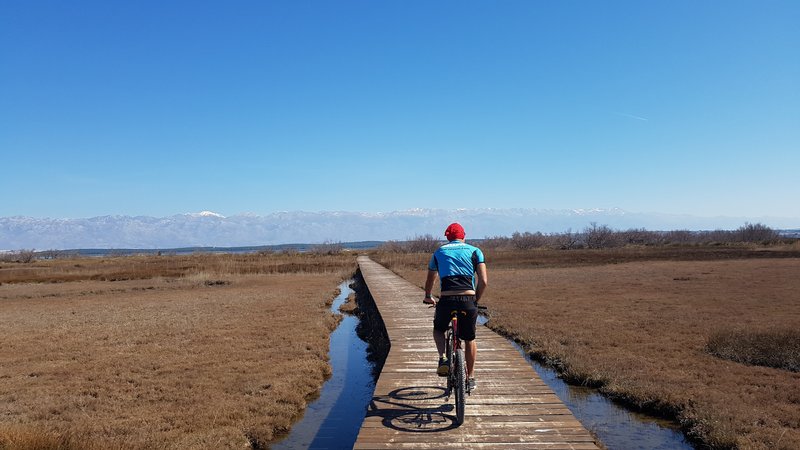 8 Day Self-Guided Road Cycling Tour in Zadar along Croatian Coast
