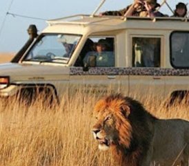 6 días del mejor safari por Kenia en Maasai Mara, Lago Nakuru y Amboseli - Photo 4