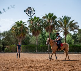 18 Day Andalusian Stallions Dressage Horse Riding Holiday in Mallorca, Balearic Islands, Spain - Photo 1