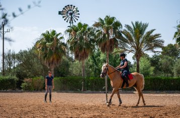 8-Daagse Andalusische Dressuur Paardrijvakantie in Mallorca, Balearen, Spanje