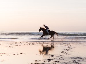 Niet-Residentiële Picknick Paardrijervaring in Essaouira Marokko