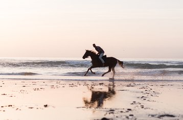 Niet-Residentiële Picknick Paardrijervaring in Essaouira Marokko