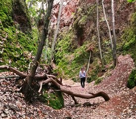 7 Day Alternative Tourism, Meditation, and Yoga Retreat in Gran Canaria, Spain - Photo 5