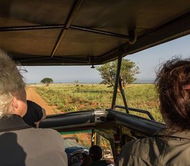 6-Daagse Luxe Safari naar Masai Mara, Lake Nakuru, Amboseli National Park in Kenia - Photo 3
