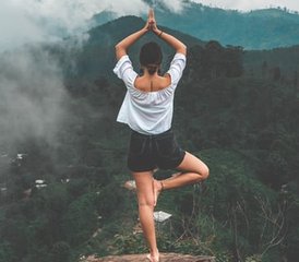 Self-Paced 200-Hour Multi-Style Online Yoga Teacher Training Course With 50 Hours of Live Sessions - Photo 5