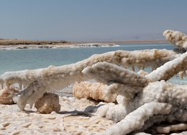 Dead Sea, Jordan Retreats & Trips