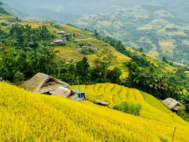 9 Day Guided Vietnam Motorbike Tour From Hoi An to Ha Noi via Northwest - Sapa photo 4