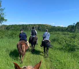 3 Day Cowhand Beginner Horse Riding and Ranch Holiday in Rossburn, Manitoba, Canada - Photo 4
