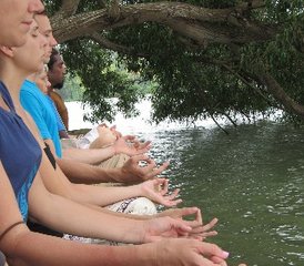68 días de retiro detox ayurvédico y de yoga con meditación cerca de Varkala, Kerala, India - Photo 1