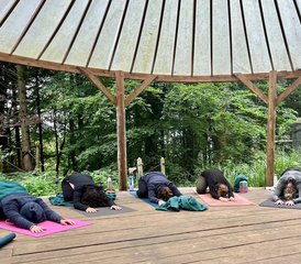 4 días de retiro de yoga en los bosques de Wiltshire, Reino Unido - Photo 2