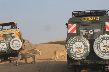 5 Day Maasai Mara and Lake Nakuru Group Joining Safari in Kenya
