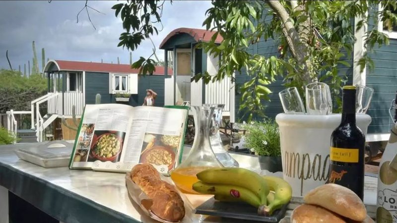 5 Day Dream Catcher Retreat with Yoga and Meditation in Oranjestad